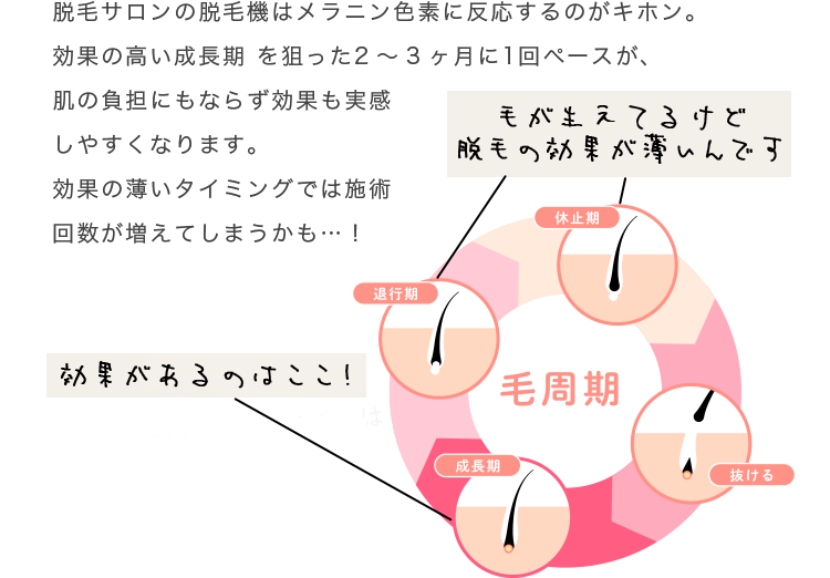 脱毛サロンの脱毛機はメラニン色素に反応するのがキホン。効果の高い成長期を狙った2～3ヶ月に1回ペースが、肌の負担にもならず効果も実感しやすくなります。効果の薄いタイミングでは施術回数が増えてしまうかも…！