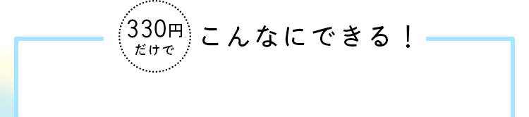 330円だけでこんなにできる！