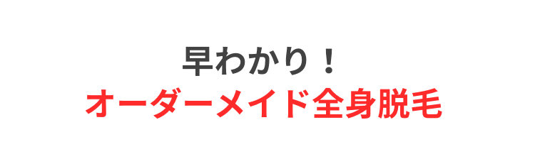 早わかり！オーダーメイド全身脱毛