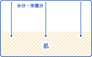 正しい洗顔を続けた場合