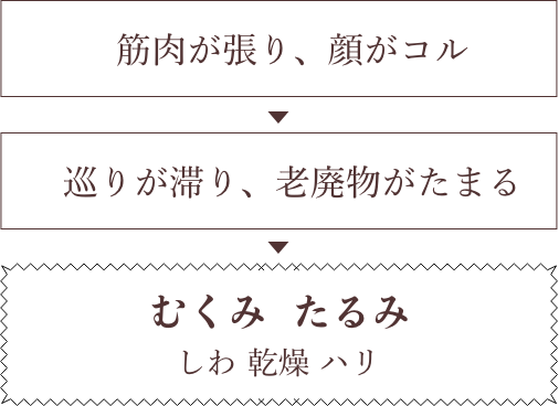 筋肉が張り、顔がコル 巡りが滞り、老廃物がたまる 肌トラブル！