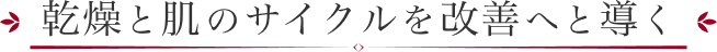 乾燥と肌のサイクルを改善へと導く