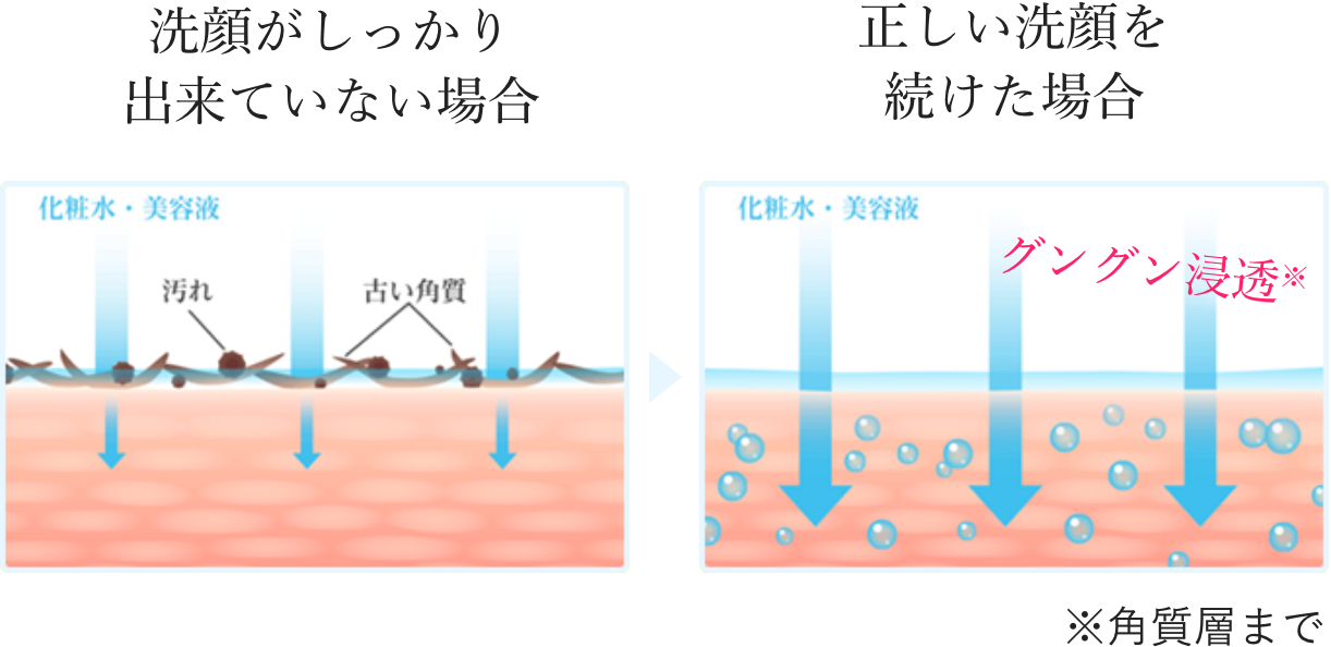 洗顔がしっかり出来ていない場合、正しい洗顔を続けた場合※角質層まで