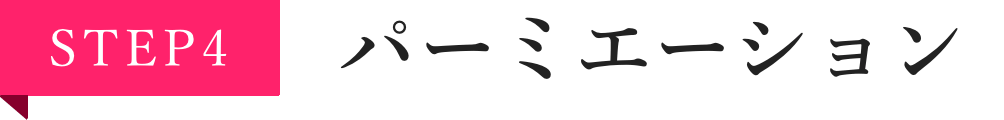 STEP4 パーミエーション