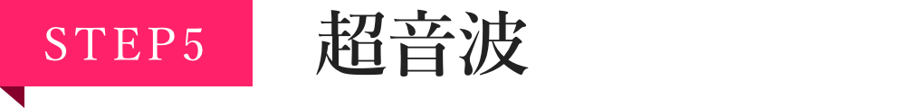 STEP5 超音波
