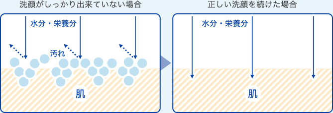 洗顔がしっかり出来ていない場合と正しい洗顔を続けた場合の肌表面の違いの図