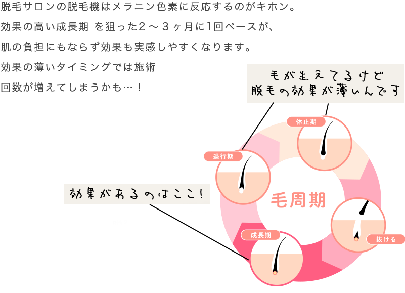 脱毛サロンの脱毛機はメラニン色素に反応するのがキホン。効果の高い成長期を狙った2～3ヶ月に1回ペースが、肌の負担にもならず効果も実感しやすくなります。効果の薄いタイミングでは施術回数が増えてしまうかも…！