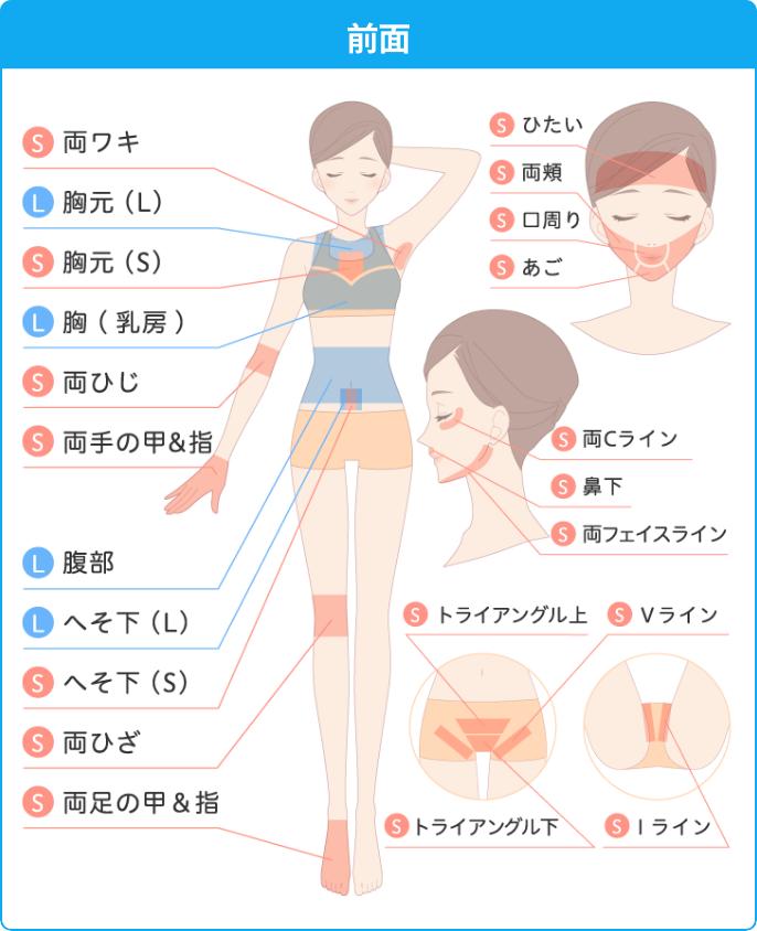 オーダーメイド全身脱毛 全身32部位から自由に40回選べる 月額4 900円 ジェイエステティック 公式